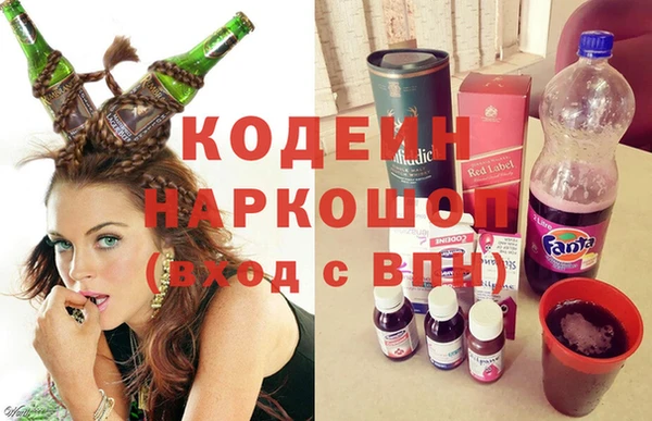 стафф Корсаков