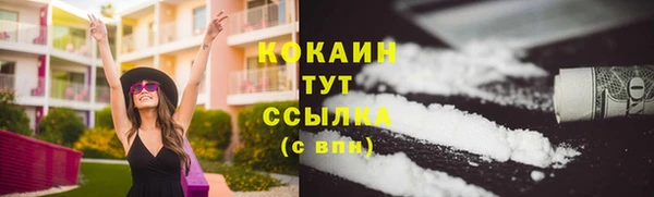 стафф Корсаков