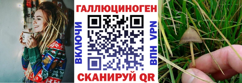 Купить где  Малоярославец  Галлюциногенные грибы GOLDEN TEACHER 